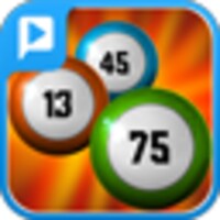 Bingo Live!
