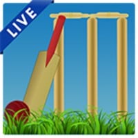 Cricket Buj