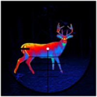 Deer Hunter