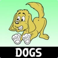 Dog Training