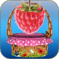 Fruit ball