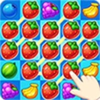Fruit Splash