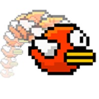 Funny Bird