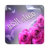 Good evening