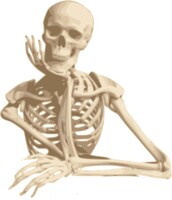 Learn the bones