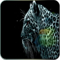 Leopard Live Wallpapers