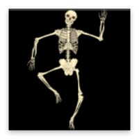 Skeleton Walk