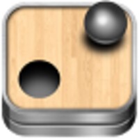 Teeter Pro