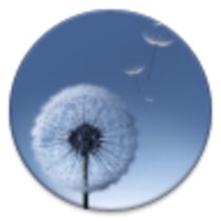 TouchWhiz