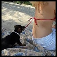 Videos de risa