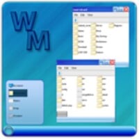 Windows file manager