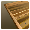 3D Backgammon
