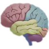3D Brain APK
