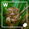 500 words APK