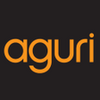 Aguri Navigation APK