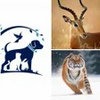 Animals Information APK