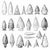 Arrowhead Identifier APK