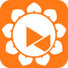 AweSun Client APK