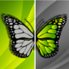 Before After video effect