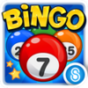 Bingo™