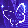 Blisslights APK