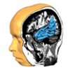 Brain Tutor 3D APK