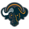 Buffalo Network