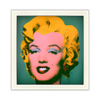 Camera Illusion APK