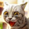 Cat Simulator 2 APK