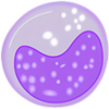 Cell Counter