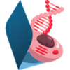 Células APK