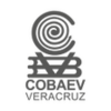 Cobaev APK