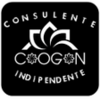 Consulente Chogan APK