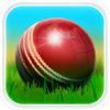 Cricket 3D APK