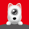 DDPAI APK