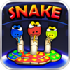 DMSnake 2