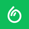Dumpling Grocery APK