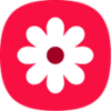 Gallery Pro APK