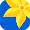 Gallery APK