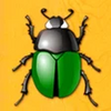 Gift Ant