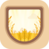 Grain VPN