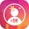 Insta King