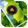 Leaf Clock Live Wallpaper APK