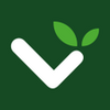 Linfogreen