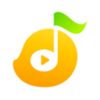 MangoMusic APK