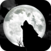 Moon Phases