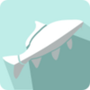 mRibic APK
