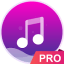 Music player pro version