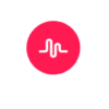 Musically Edition APK