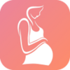 Pregnancy Workout Program